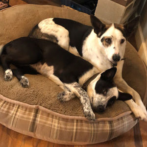 Meet your Posher, Alexandra